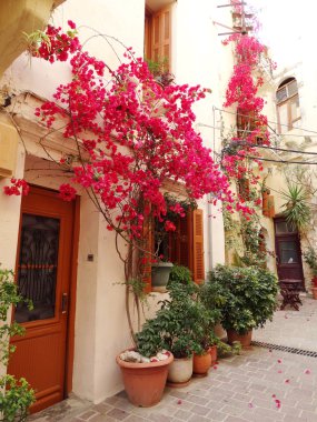 geleneksel sokak amoung bougainvillaea chanya şehir Yunanistan 