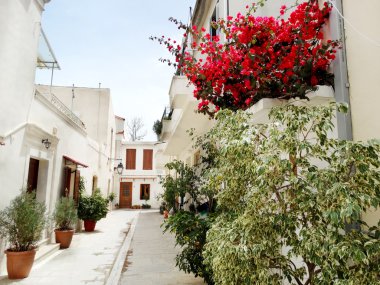 bougainvillaea rethymno City Yunanistan arasında geleneksel sokak 