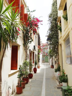bougainvillaea rethymno City Yunanistan arasında geleneksel sokak 