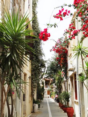 bougainvillaea rethymno City Yunanistan arasında geleneksel sokak 