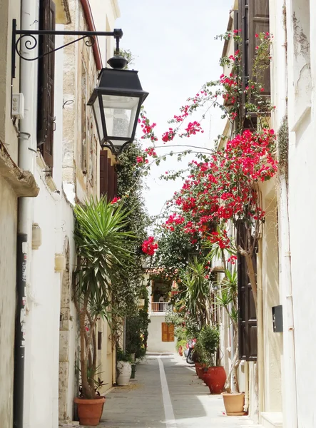 Calle tradicional entre bougainvillaea en ciudad rethymno Grecia — Foto de Stock