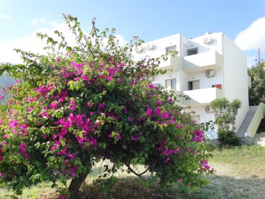 Lüks Otel binası balkon ve Teras crete Yunanistan