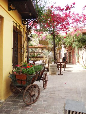 bougainvillaea chanya City Yunanistan arasında geleneksel sokak 