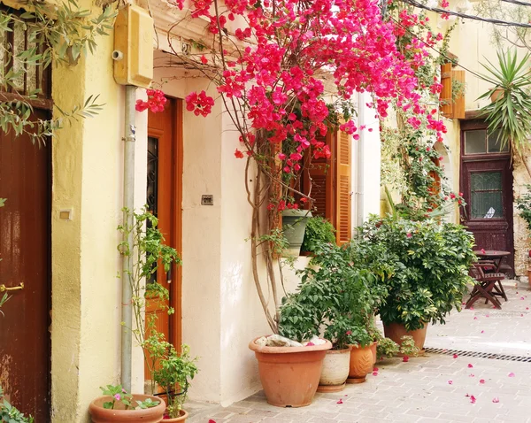 Traditionele straat onder bougainvillaea in rethymno stad Griekenland — Stockfoto