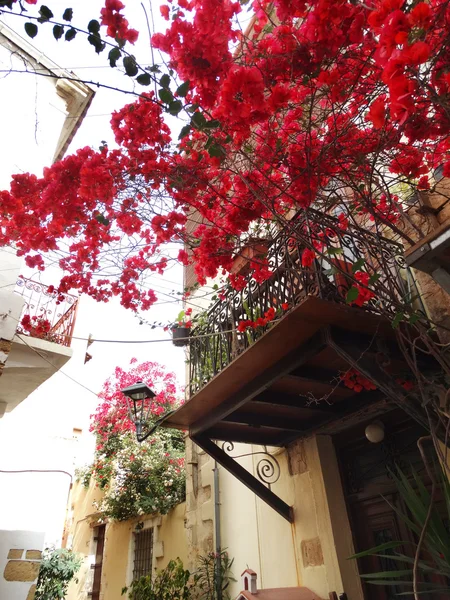 Tradycyjnej ulicy wśród bougainvillaea w chanya miasta Grecja — Zdjęcie stockowe