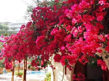 balkon ve Teras santorini Yunanistan bina lüks otel