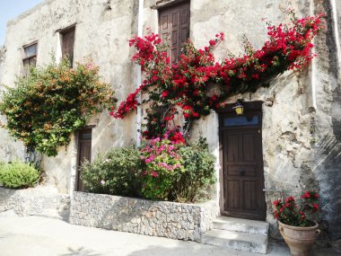 bougainvillaea Yunanistan arasında geleneksel sokak 