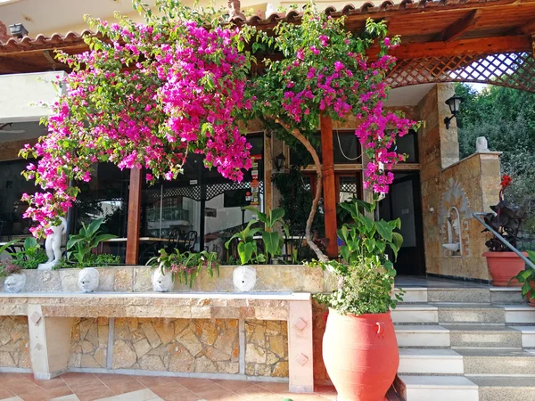 Traditional street among bougainvillaea in Greece — Stock Photo, Image