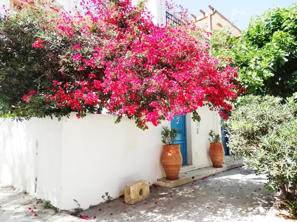 Traditionelle straße zwischen bougainvillaea in griechenland — Stockfoto