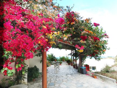 balkon ve Teras santorini Yunanistan bina lüks otel