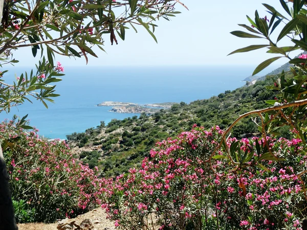 Costa paesaggio del mare Mediterraneo Creta isola di Grecia — Foto Stock