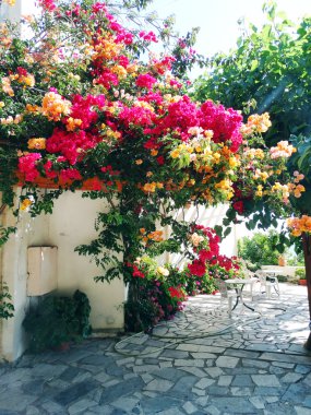 balkon ve Teras santorini Yunanistan bina lüks otel