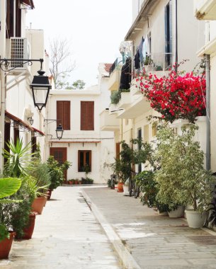 bougainvillaea rethymno City Yunanistan arasında geleneksel sokak 