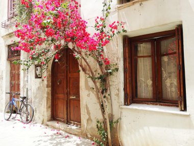 traditional street among bougainvillaea in rethymno city Greece  clipart