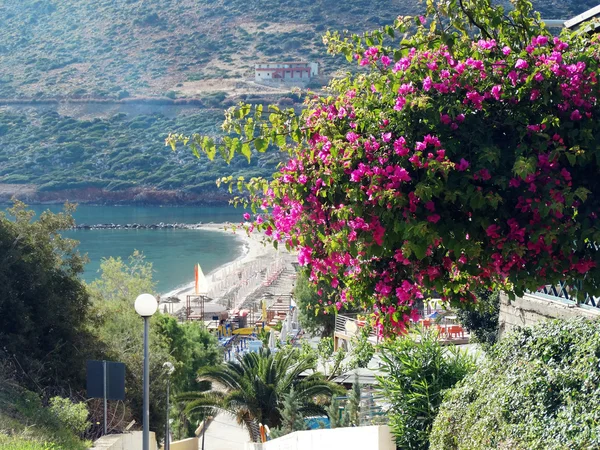 Costa paisaje de mar meditrannean Creta isla griega —  Fotos de Stock