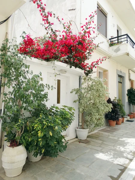 Calle tradicional entre bougainvillaea en ciudad rethymno Grecia — Foto de Stock