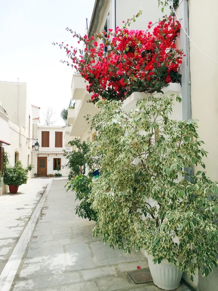 Strada tradizionale tra bougainvillaea nella città di rethymno Grecia — Foto Stock