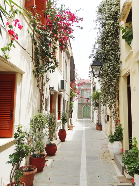 bougainvillaea rethymno City Yunanistan arasında geleneksel sokak 