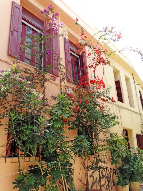 bougainvillaea rethymno City Yunanistan arasında geleneksel sokak 