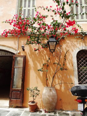 bougainvillaea rethymno City Yunanistan arasında geleneksel sokak 