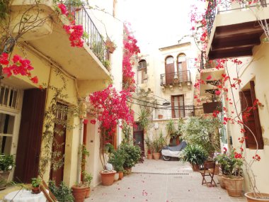 bougainvillaea rethymno City Yunanistan arasında geleneksel sokak 