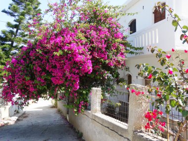 balkon ve Teras santorini Yunanistan bina lüks otel