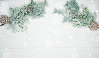 Noel arkaplanı köknar dalları koniler ve beyaz ahşap dokuda kar                              