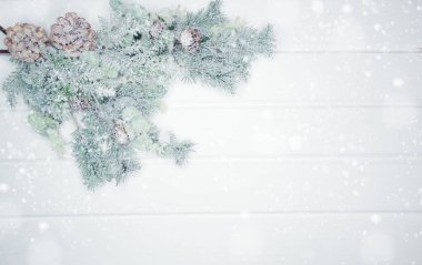 Noel arkaplanı köknar dalları koniler ve beyaz ahşap dokuda kar                              