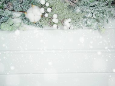 Noel arkaplanı köknar dalları koniler ve beyaz ahşap dokuda kar                              