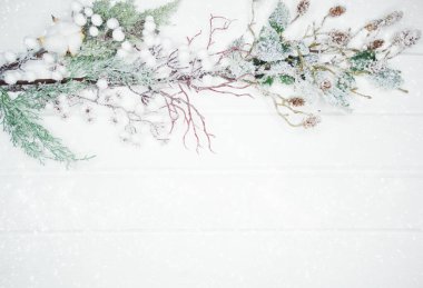 Noel arkaplanı köknar dalları koniler ve beyaz ahşap dokuda kar                              