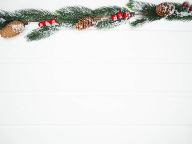 Noel arkaplanı köknar dalları koniler ve beyaz ahşap dokuda kar                              