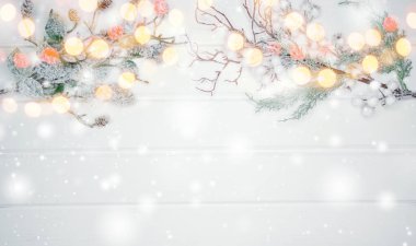 Noel arkaplanı köknar dalları koniler ve beyaz ahşap dokuda kar                              