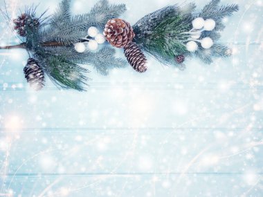 Kış Noel arkaplanı köknar dalları koniler ve mavi ahşap dokuda kar                              