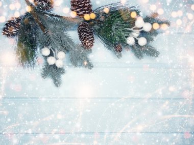 Kış Noel arkaplanı köknar dalları koniler ve mavi ahşap dokuda kar                              