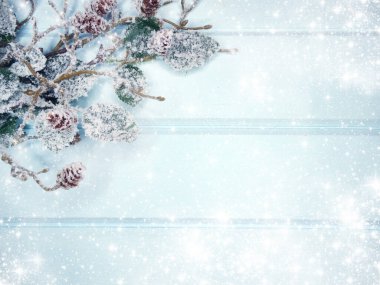 Kış Noel arkaplanı köknar dalları koniler ve mavi ahşap dokuda kar                              