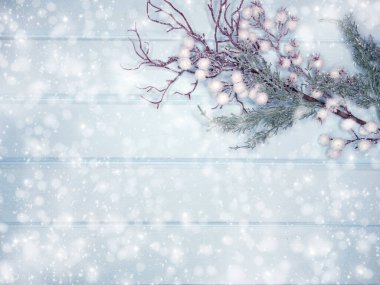 Kış Noel arkaplanı köknar dalları koniler ve mavi ahşap dokuda kar                              