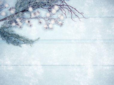 Kış Noel arkaplanı köknar dalları koniler ve mavi ahşap dokuda kar                              