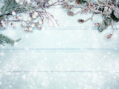 Kış Noel arkaplanı köknar dalları koniler ve mavi ahşap dokuda kar                              