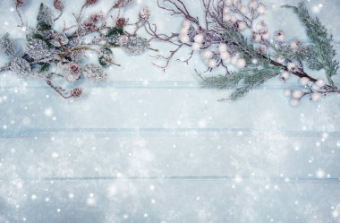 Kış Noel arkaplanı köknar dalları koniler ve mavi ahşap dokuda kar                              