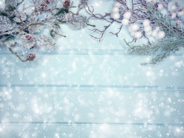 Kış Noel arkaplanı köknar dalları koniler ve mavi ahşap dokuda kar                              