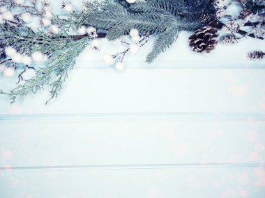 Kış Noel arkaplanı köknar dalları koniler ve mavi ahşap dokuda kar                              