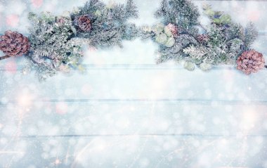 Kış Noel arkaplanı köknar dalları koniler ve mavi ahşap dokuda kar                              