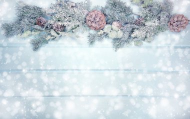 Kış Noel arkaplanı köknar dalları koniler ve mavi ahşap dokuda kar                              