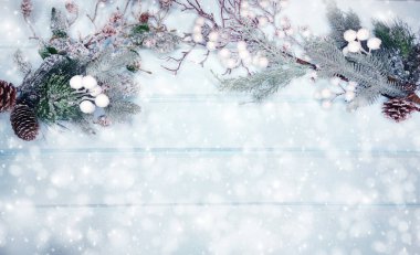 Kış Noel arkaplanı köknar dalları koniler ve mavi ahşap dokuda kar                              