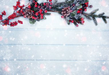 Kış Noel arkaplanı köknar dalları koniler ve mavi ahşap dokuda kar                              