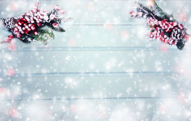 Kış Noel arkaplanı köknar dalları koniler ve mavi ahşap dokuda kar                              