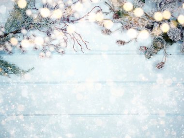 Kış Noel arkaplanı köknar dalları koniler ve mavi ahşap dokuda kar                              