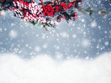 Kış Noel arkaplanı köknar dalları koniler ve kar çelengi ışıkları