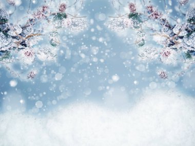 Kış Noel arkaplanı köknar dalları koniler ve kar çelengi ışıkları