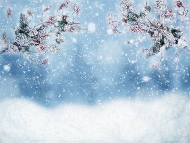 Kış Noel arkaplanı köknar dalları koniler ve kar çelengi ışıkları